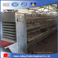 Automatic/Semi-Automatic Poultry Chicken Cage for Bird Farm